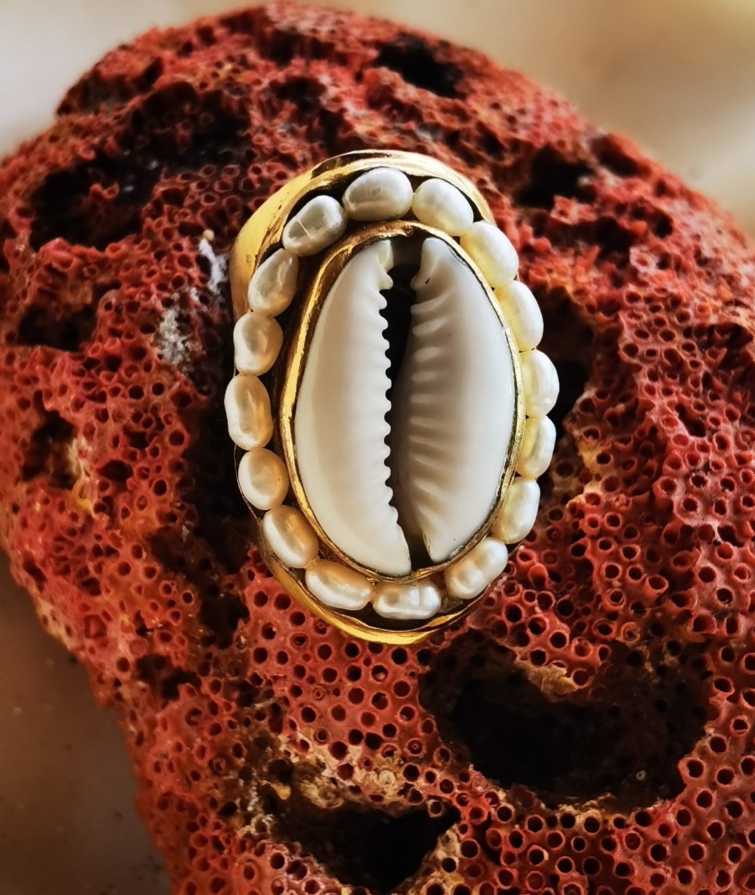 ELECTRA Universe cowrie shell and sea pearl gold ring on a piece of natural red coral