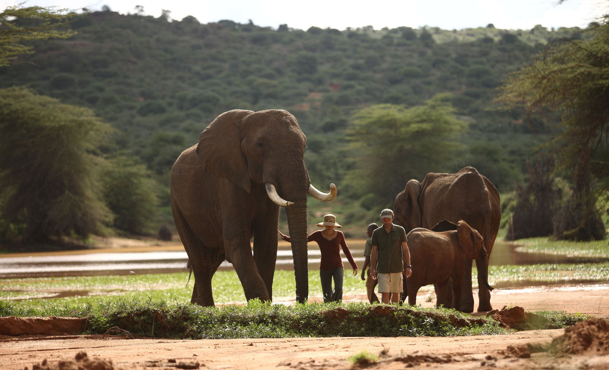 Alec Wildenstein, Ol Jogi Conservancy, Kenya