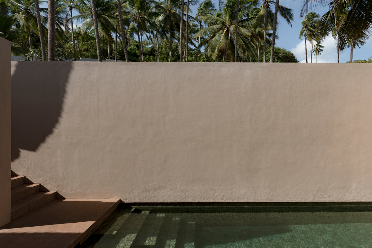 Modern architectural design with a large concrete wall and steps, surrounded by palm trees.
