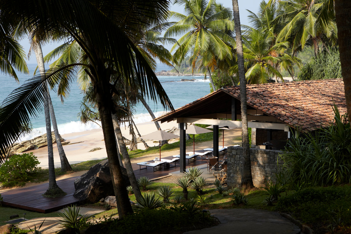 Beachside resort with palm trees and a thatched-roof building.