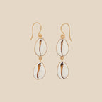 Pair of shell earrings with gold hooks on a white background