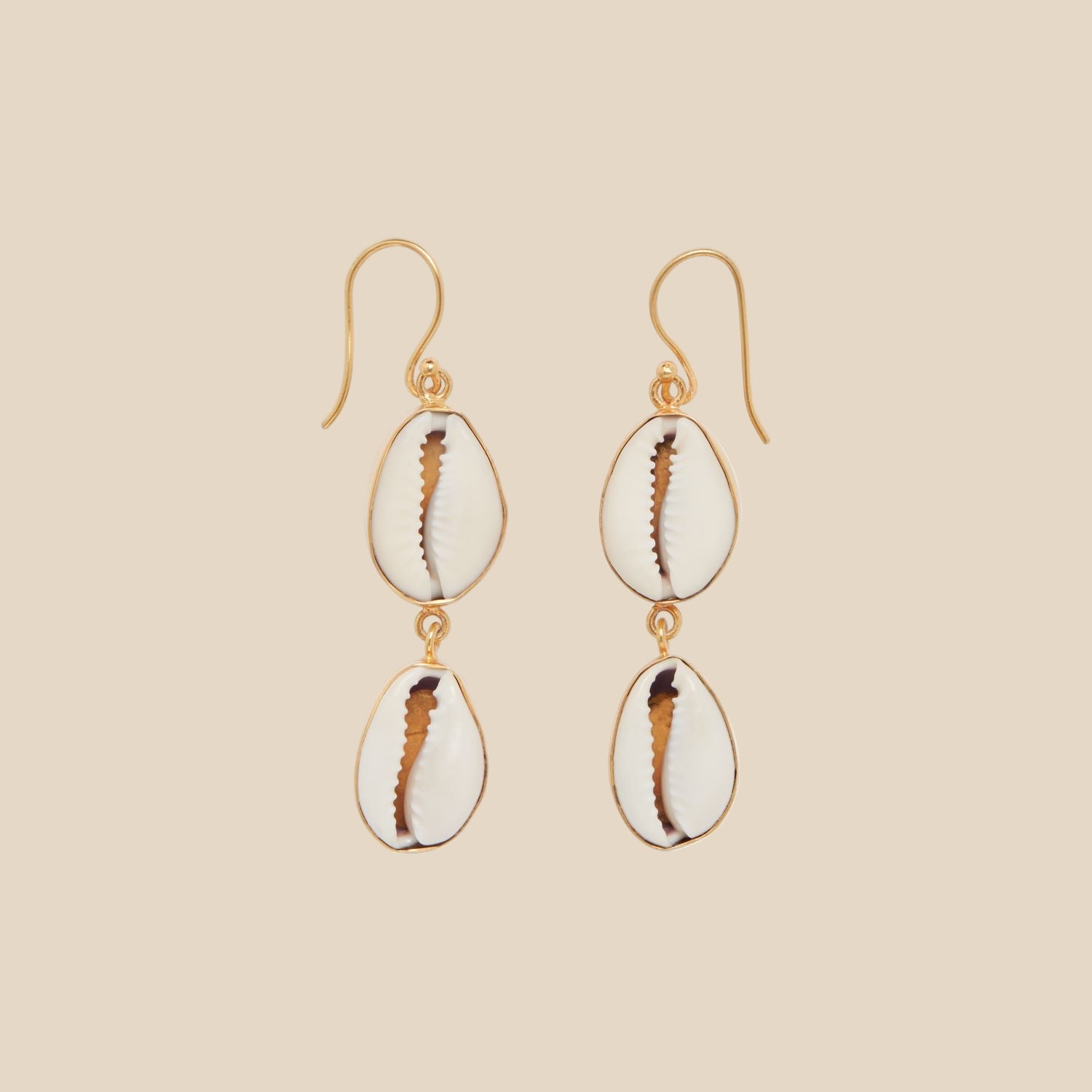 Pair of shell earrings with gold hooks on a white background