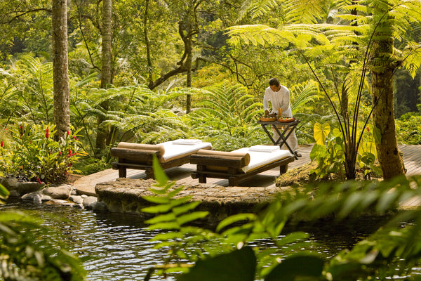 Person sitting on a wooden bench by a pond in a lush green forest at COMO Shambhala, Bali