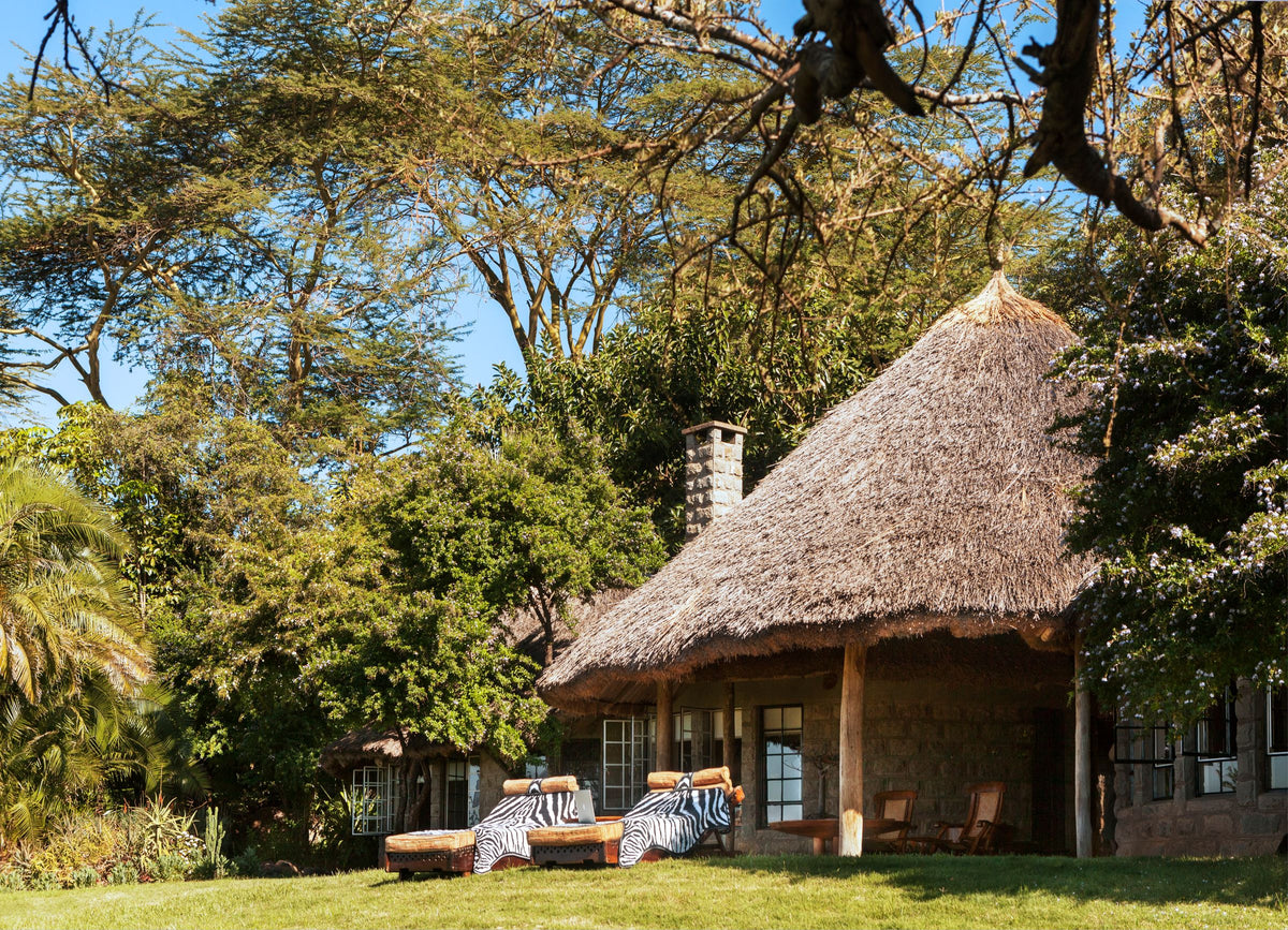 Thatched-roof building surrounded by trees and grass