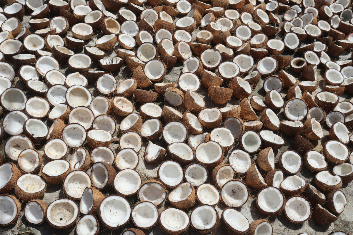 Large number of coconut halves scattered on a surface