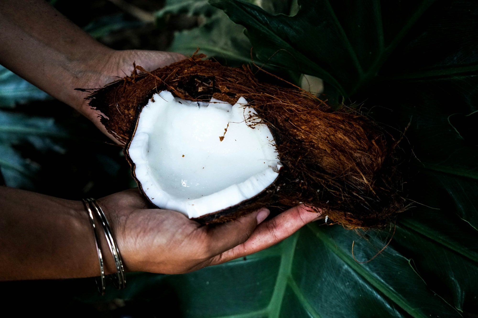 Coconuts: The Traditional Tropical Remedy