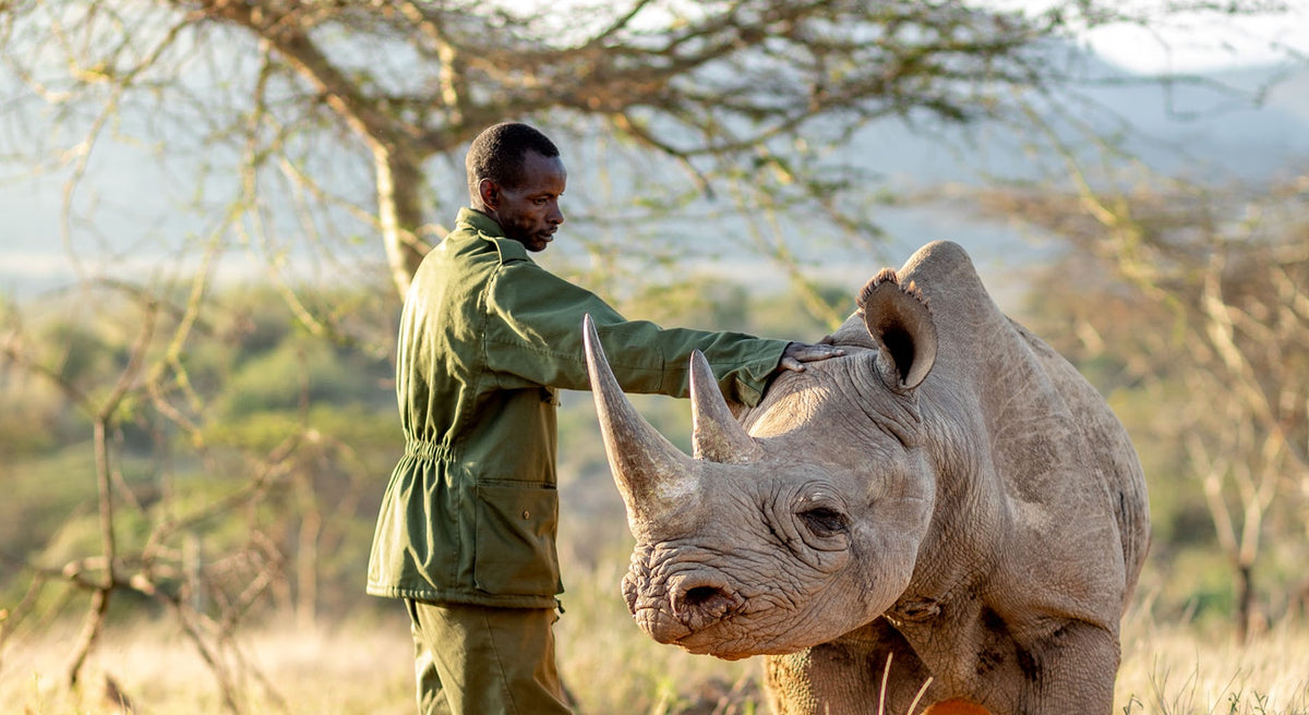 Person in green jacket interacting with a rhino in a natural setting