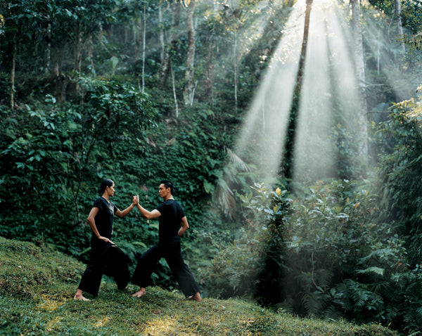 Two people practicing martial arts in a forest with sunlight filtering through the trees.